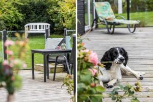 8593-Glesborg-Vikingebanke-11