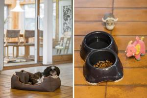 8987-Orsted-Strandskadevej-45