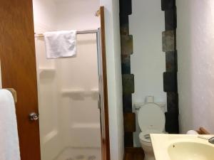 Slide Mountain Forest House