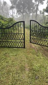 Misty huts home stay