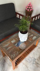 Misty huts home stay