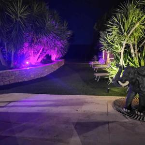 VILLA Paloma