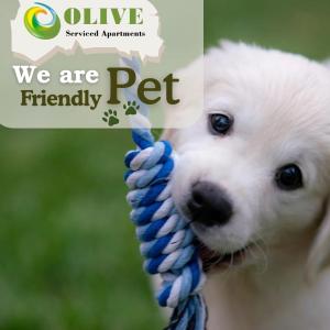 Olive Service Apartments New Town