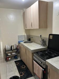 Tulia 1 BR apartment in Kasarani Nairobi with washing machine, lift , wifi, office desk and parking
