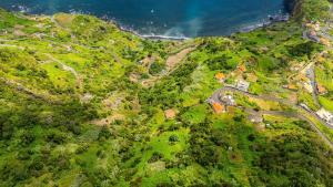 Casa do Jardim Botanico