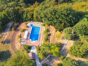 Pet-Friendly Retreat