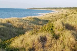 10085-1-Nykobing-Sj-Ostvej-16