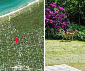 10085-1-Nykobing-Sj-Ostvej-16