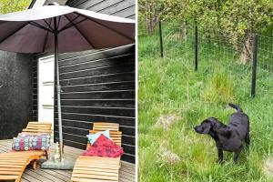 BL497-Saltum-Tolhoj-4