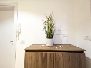 Apartments of the Lingering Sun