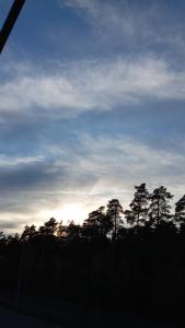 Private room in shared appartment