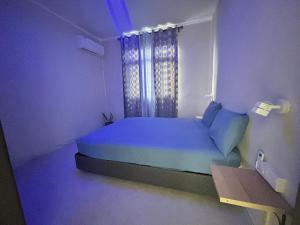 Seaview escape - modern & cozy