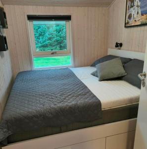 BL1566-Saltum-Lille-Fiskerbanke-3