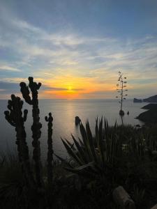 Casa Vacanza il Mandorlo img61