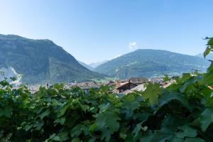 BnB Feuille de Vigne