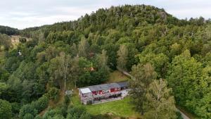 Bright comfortable guest suite close to both swimming, nature and city