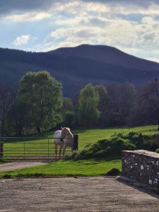 Brecon Beacons Lovely cottage with stunning views