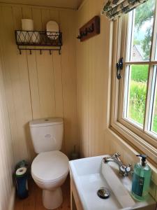 Shepherds Hut in heart of the Brecon Beacons