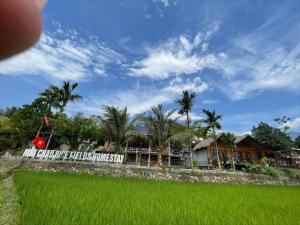 mai chau rice fields homestay