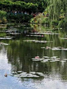 Le Clos Morin - Chambres dhôtes