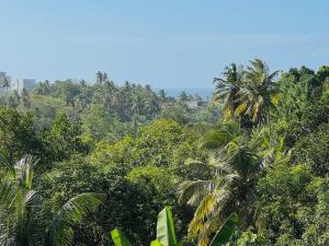 Sayul Villa Unawatuna Унаватуна