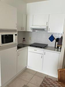 Stylish apartment with a swimming pool by the sea T129