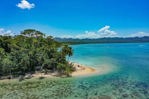 Selva y Confort #3 AC