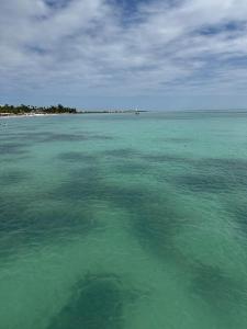Ocean View Luxury Retreat Cap Cana & Private Infinity Pool