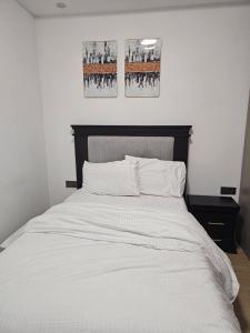 Fancy Apartments in Kileleshwa