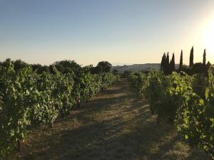 Wonderfull counrty villa, views on sea & Capalbio