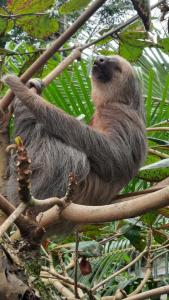 Casa San Jose-Espaciosa casa, Wifi, Camine playa