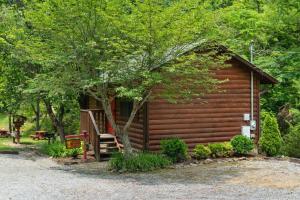 My Cup Overflows Cabin