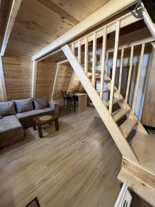 Vila Djordje Žabljak