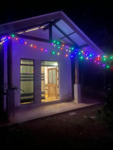 Villa Cinnamon forest