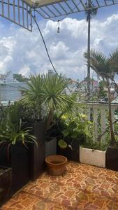 Hoshi Dalat Fullhouse