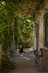 Charming apartment in our farmhouse