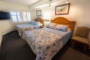 Penthouse! Ocean Front, Close to Barefoot Landing!