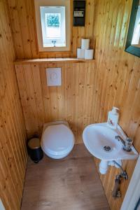 The Forgotten Meadow