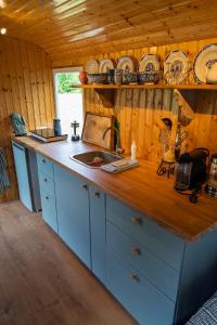 The Forgotten Meadow