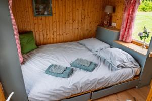 The Forgotten Meadow