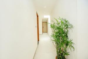 Hotel Platinum Stay InHouse Sanjha Chulha Restaurant