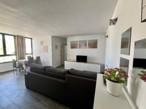 LAS OLAS heated pool