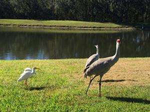 Lake View 2-Masters Near Disney & Theme Parks