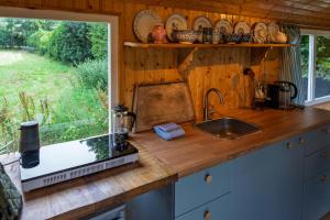 The Forgotten Meadow