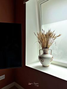 Nomad Houses - Casa Terra