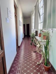 La salteñita alojamiento