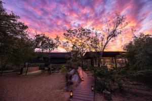 Leopard Trails Yala