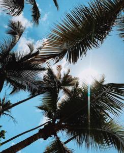 CasaLoca Cabarete Studio Apartment