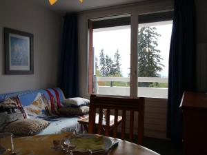 Studio 4 pers proche pistes, animaux admis - FR-1-549-62