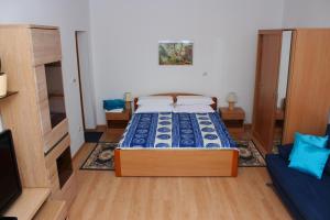 Apartments Anicic